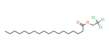 2,2,2-Trichloroethyl octadecanoate